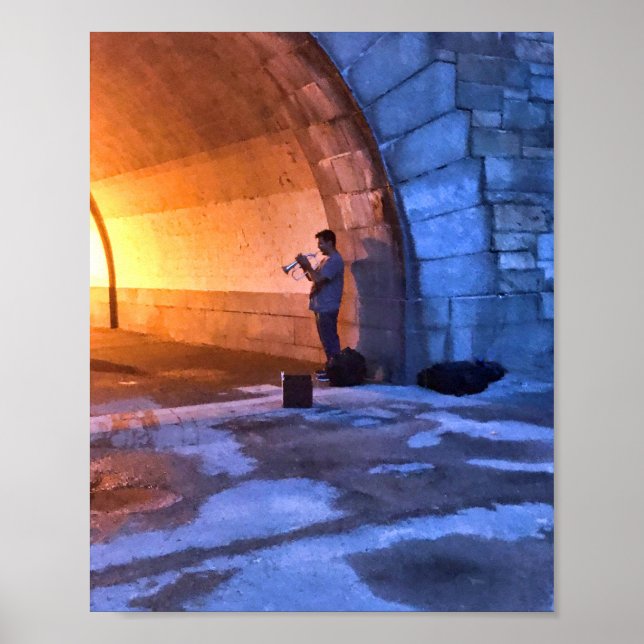 Musician in Riverside Park Summer in NYC Poster (Framsidan)