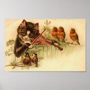Musik för fåglar, katt och fåglar poster