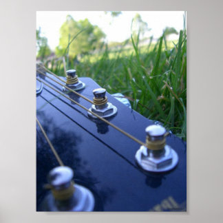 Musik i naturen poster