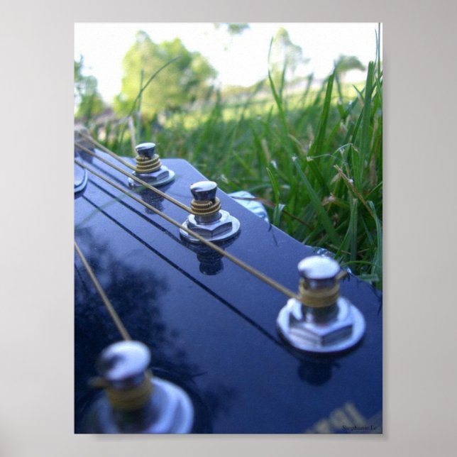Musik i naturen poster (Framsidan)