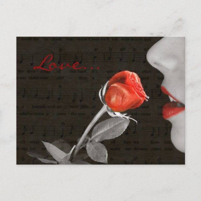 musik noter blomstrar valentines day röd ros helg vykort (Framsida)