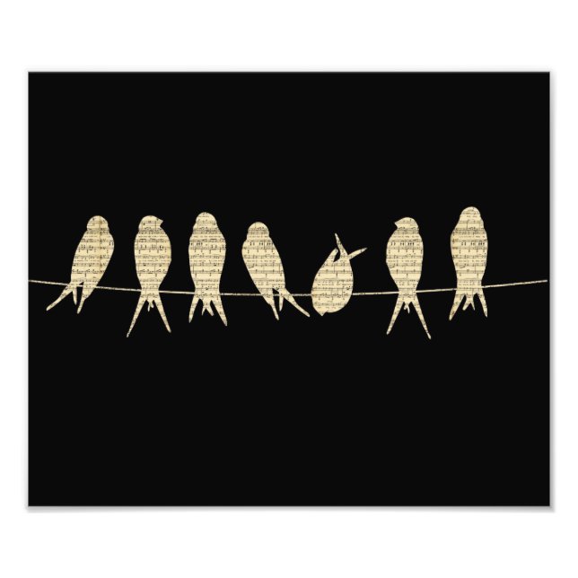 Musikfåglar Fototryck (Framsidan)