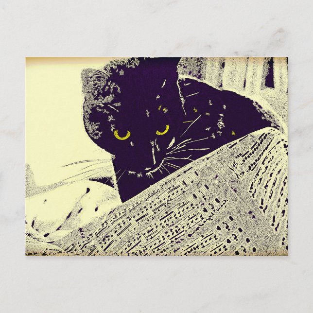 Musikkkatt - vykort (Framsida)