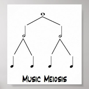 MusikMeiosis Poster