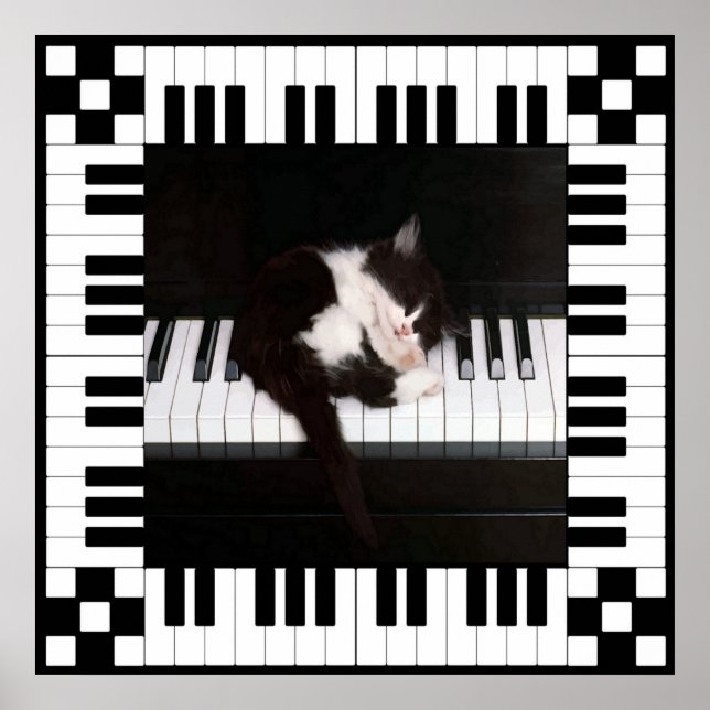 Musikviloläge Poster (Framsidan)