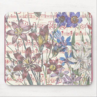 Musique Maestro Musmatta