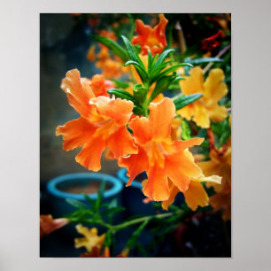Musk Flowers Poster