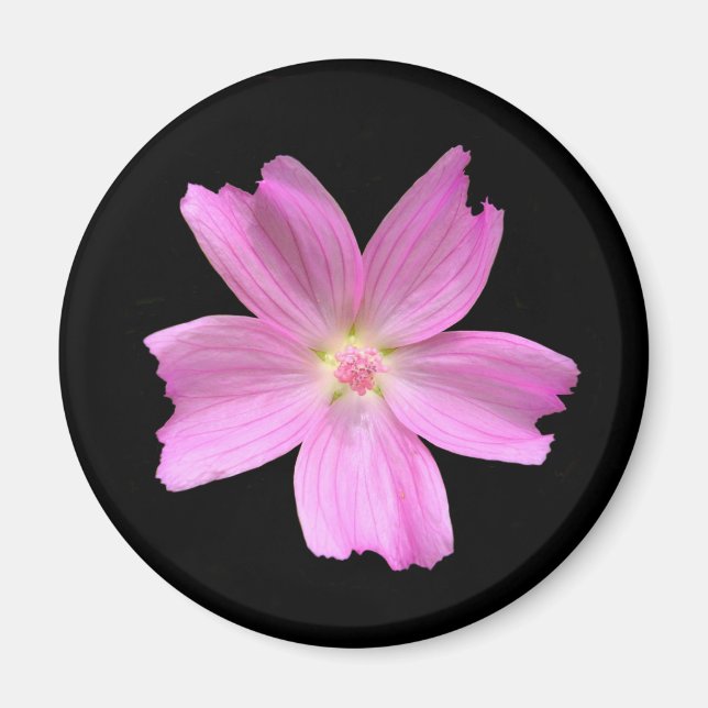 Musk-mallow Magnet (Framsidan)