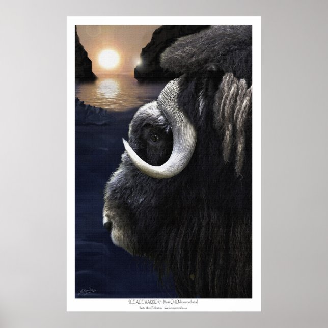 MUSK OX & ARCTIC SOL Art-utskrift Poster (Framsidan)