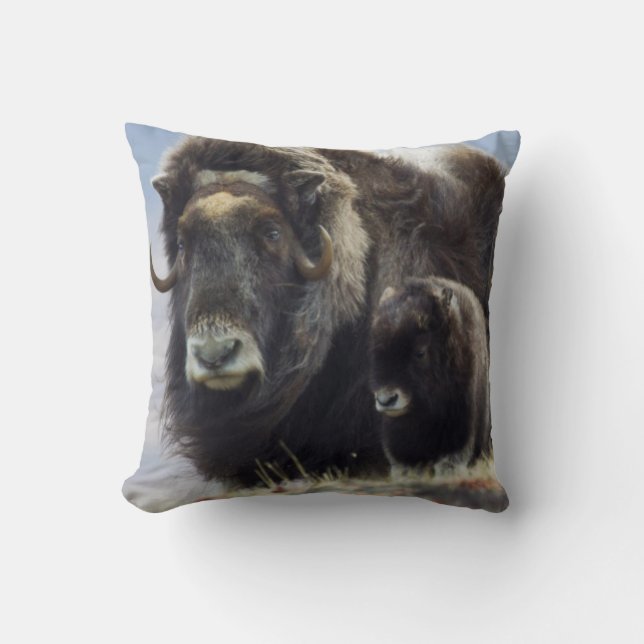 Musk Ox med Calf Kudde (Framsida)