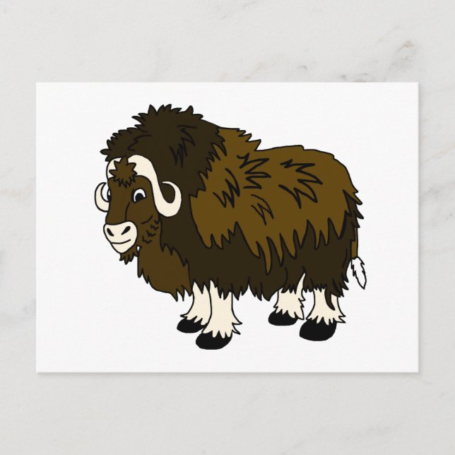 Musk Ox Vykort (Framsida)