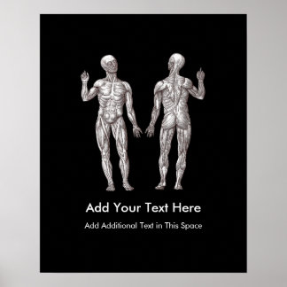 Muskel Manar - Anatomi humant muskelsystem Poster