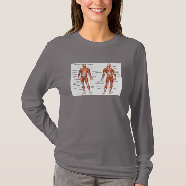 Muskeldiagram101 T Shirt (Framsida)