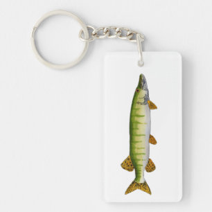 Muskellunge (Muskie)