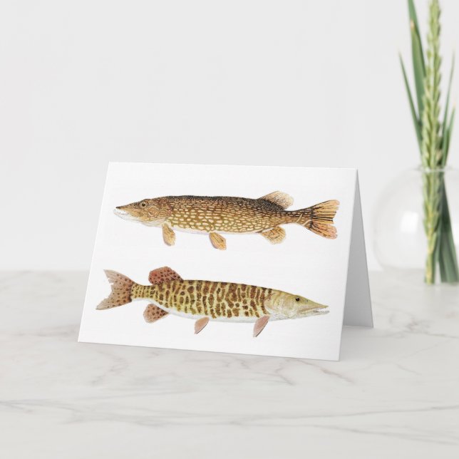 Muskie- och pikkort kort (Framsida)