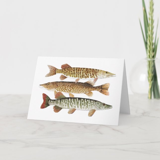 Muskie, Pike & tiger Kort (Framsida)