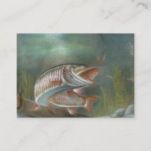 MUSKIE-visitkortmall Visitkort