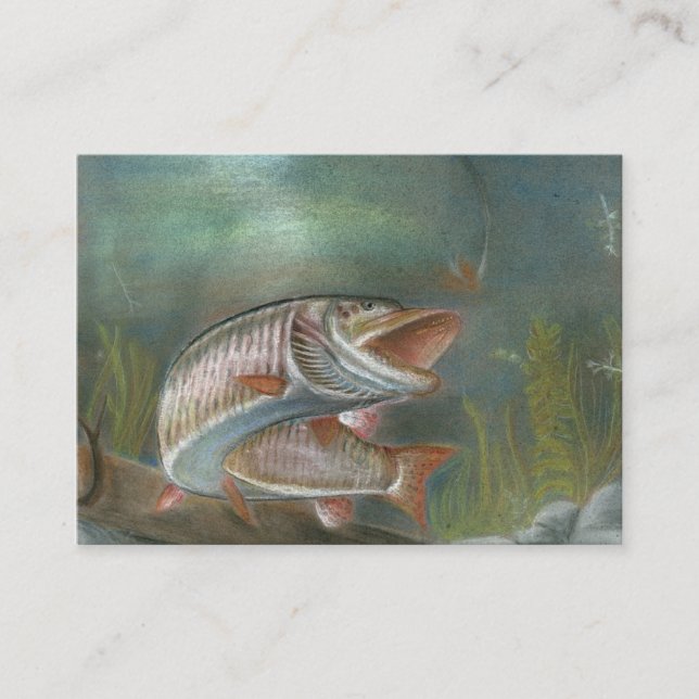 MUSKIE-visitkortmall Visitkort (Framsida)