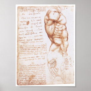Muskler av torsoen, Leonarod Da Vinci Poster