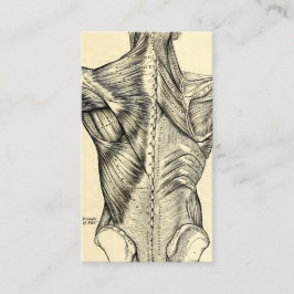 Muskler för baksida för människaanatomikonst visitkort
