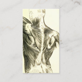 Muskler för baksida för vintageanatomi | (circa visitkort