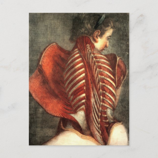 Muskler i ryggen hos en kvinna vykort (Framsida)