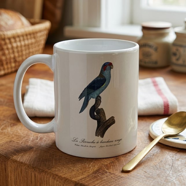 Musklorikit, Trichoglossus concinnus Kaffemugg (Musk Lorikeet, Trichoglossus Concinnus. Coffee Mug)