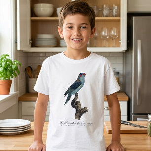 Musklorikit, Trichoglossus concinnus T Shirt