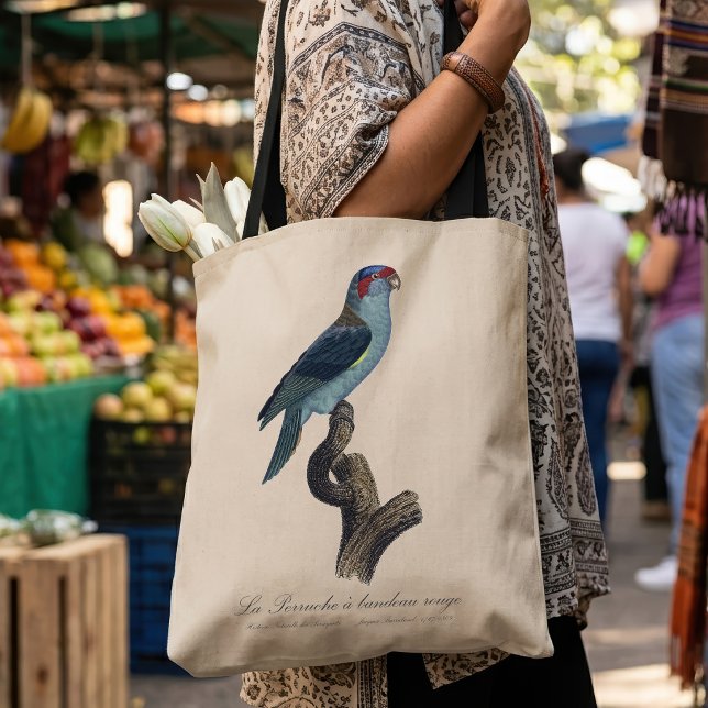 Musklorikit, Trichoglossus concinnus Tygkasse (Musk Lorikeet, Trichoglossus Concinnus. Tote Bag)