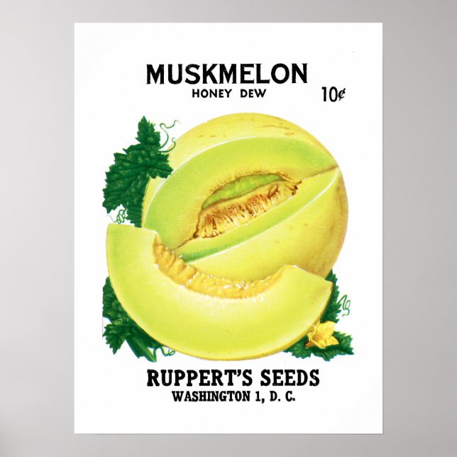 Muskmelon Seed Packet Label Poster (Framsidan)