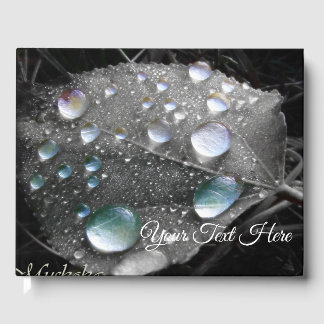 Muskoka Dew Drops Gästböcker