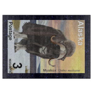 Muskox