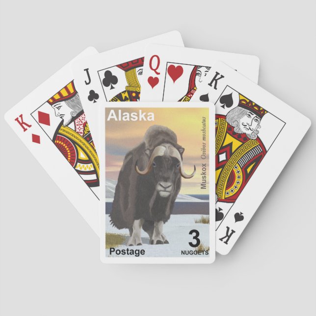 Muskox - Alaska Spel Kort (Baksidan)