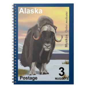 Muskox Anteckningsbok