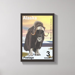 Muskox Canvastryck