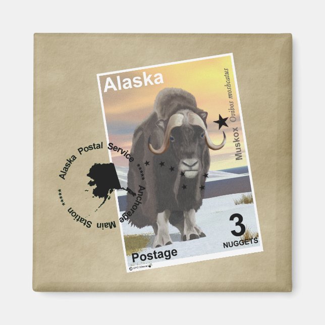 Muskox Frimärke Souvenir Magnet (Framsidan)