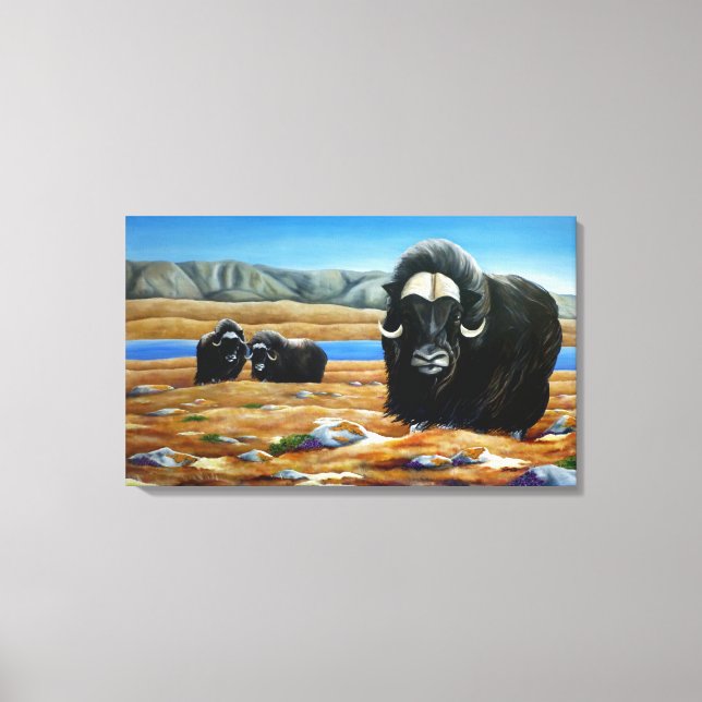 Muskox Painting Canadian Wildlife Kanvastryck (Framsida)