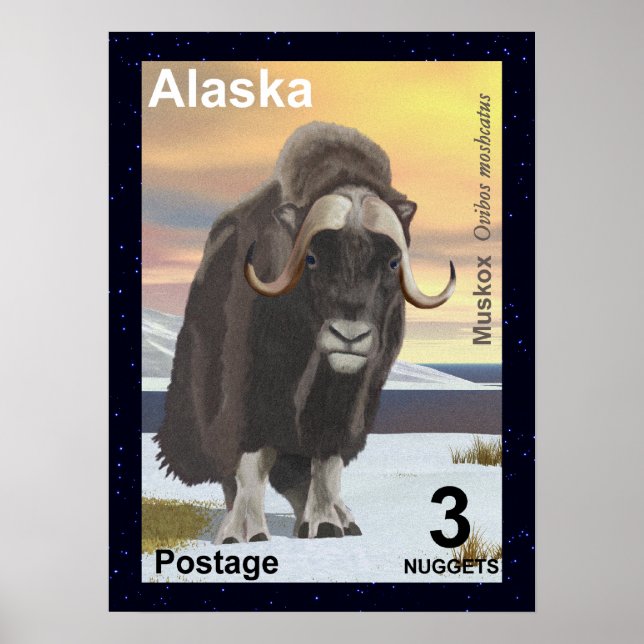 Muskox Poster (Framsidan)
