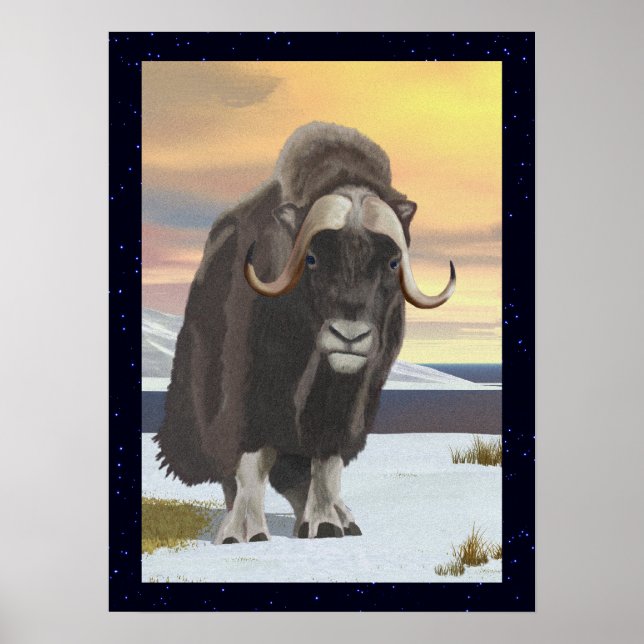 Muskox Poster (Framsidan)