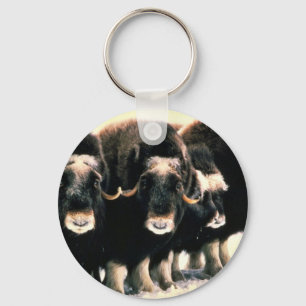 Muskoxar Nyckelring