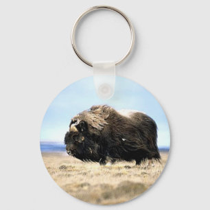 Muskoxar Nyckelring