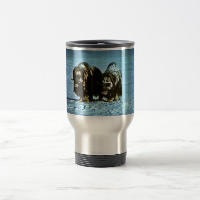 Muskoxar Resemugg (Center)