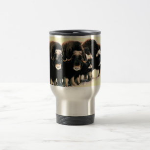 Muskoxar Resemugg