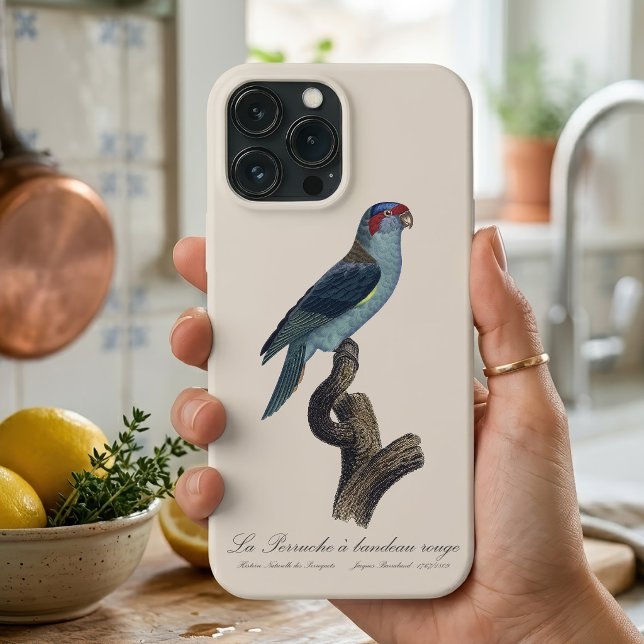 Muskparakit, Trichoglossus concinnus (Musk Lorikeet, Trichoglossus Concinnus. iPhone Case)
