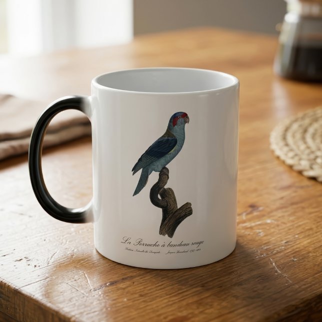 Muskparakit, Trichoglossus concinnus Magisk Mugg (Musk Lorikeet, Trichoglossus Concinnus. Color Morph Mug)