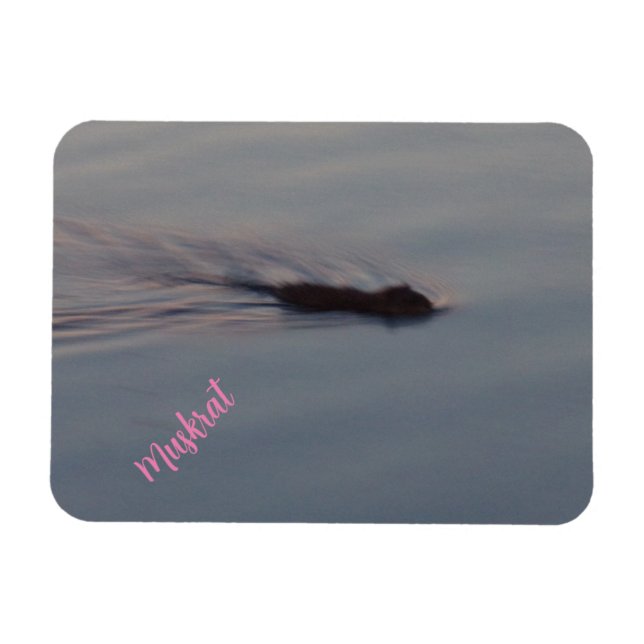 Muskrat i Minnesota Flexible Magnet (Horisontell)