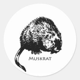 Muskrat (illustration) runt klistermärke