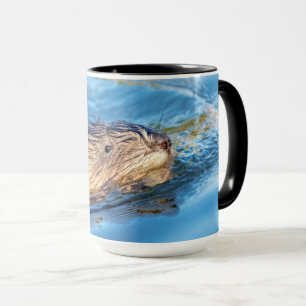 Muskrat vid Vassar Farms ekologiska reservat Mugg