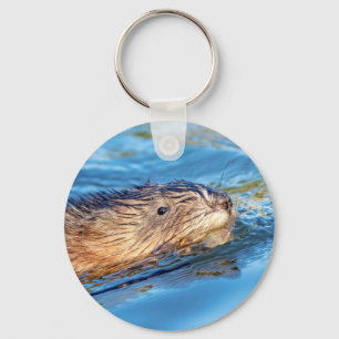 Muskrat vid Vassar Farms ekologiska reservat Nyckelring