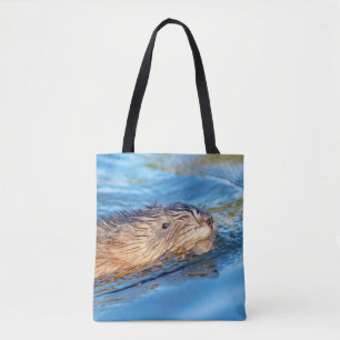 Muskrat vid Vassar Farms ekologiska reservat Tygkasse